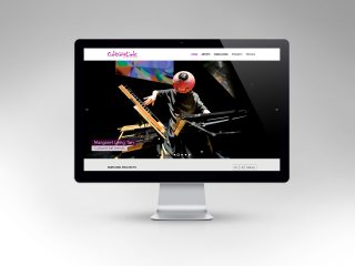 CultureLink Website